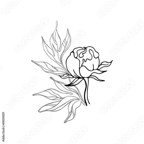 Vector drawing of a flower bud and leaves. Flowering plant, garden. An unopened peony bud. Line art, outline black and white drawing isolated on white background.