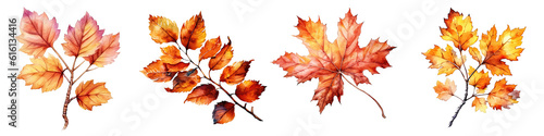 Watercolor illustration autumn leaves transparent background, PNG