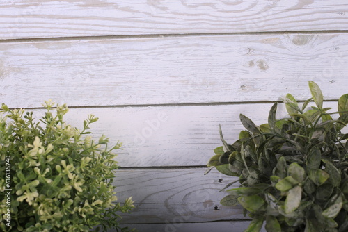 leaves on the wall