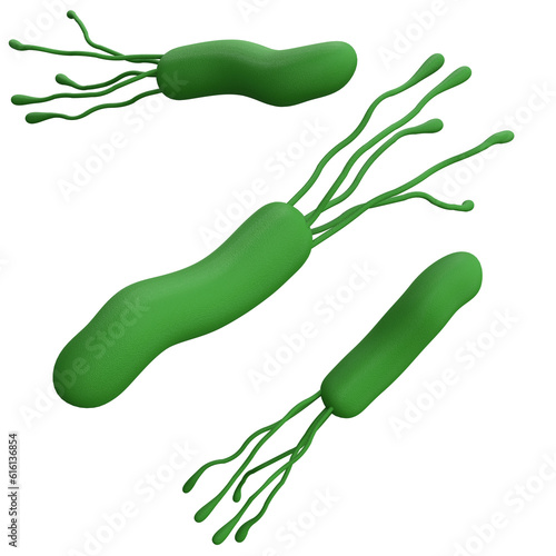 Helicobacter pylori bacteria 3d render realistic medicine icon for logo isolated transparent pgn. Microbiology health human illustration photo