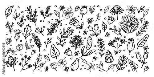 Big set of spring floral hand drawn illustration