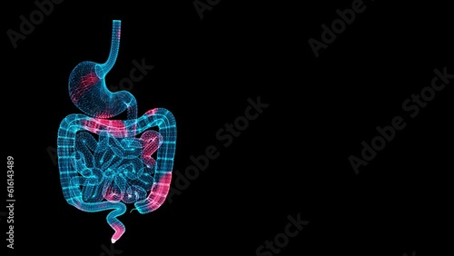 3D Gastrointestinal tract Scan. Organ Scanning Interface. HUD stomach analyze. Spread of temperature and pain through the human Gastrointestinal tract. Medical Science Anatomy. 3D animation 60 FPS photo