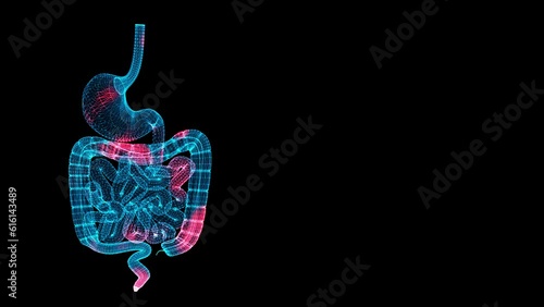 3D Gastrointestinal tract Scan. Organ Scanning Interface. HUD stomach analyze. Spread of temperature and pain through the human Gastrointestinal tract. Medical Science Anatomy. 3D animation 60 FPS