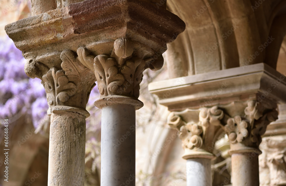 Medieval sculpted columns and wisteria background