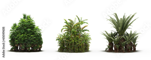 group of trees with a shadow on the ground, isolated on a white background, trees in the forest, 3D illustration, cg render