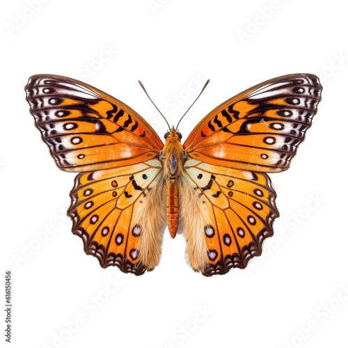 Great spangled fritillary butterfly -  Speyeria cybele. Transparent PNG. Generative AI photo