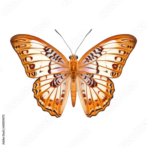Indian fritillary butterfly -  Argynnis hyperbius. Transparent PNG. Generative AI © Razvan