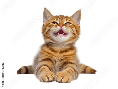 Tabby cat with happy expression and opened his mouth, Generative AI