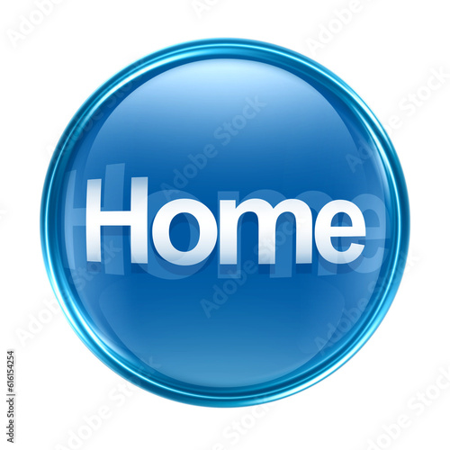 home icon blue, isolated on white background