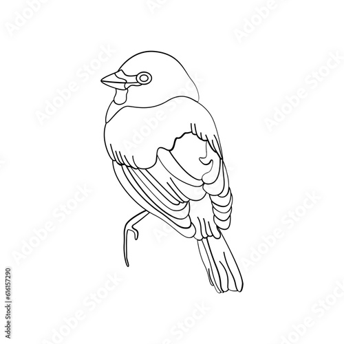 Bird outline vector for coloring book and tattoo design. Bird line art. Bird vector illustration. Bird outline. Bird line art. Hand drawn bird.