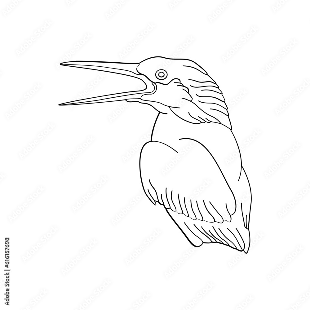 Fototapeta premium Bird outline vector for coloring book and tattoo design. Bird line art. Bird vector illustration. Bird outline. Bird line art. Hand drawn bird.