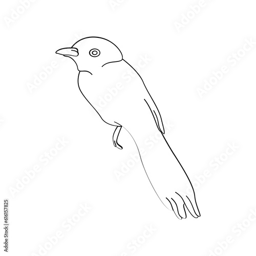 Bird outline vector for coloring book and tattoo design. Bird line art. Bird vector illustration. Bird outline. Bird line art. Hand drawn bird.