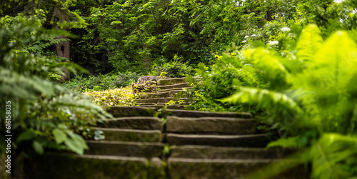 Fototapeta Naklejka Na Ścianę i Meble -  A small alley among the trees,old stone stairs