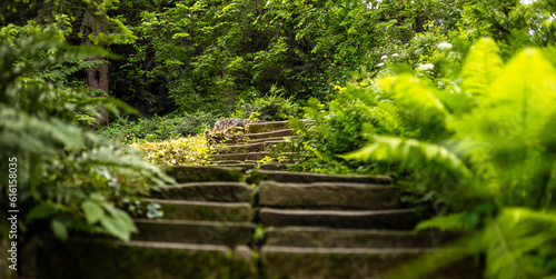 A small alley among the trees,old stone stairs