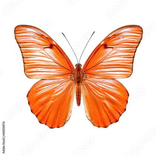 Orange emigrant butterfly -  Catopsilia scylla. Transparent PNG. Generative AI © Razvan