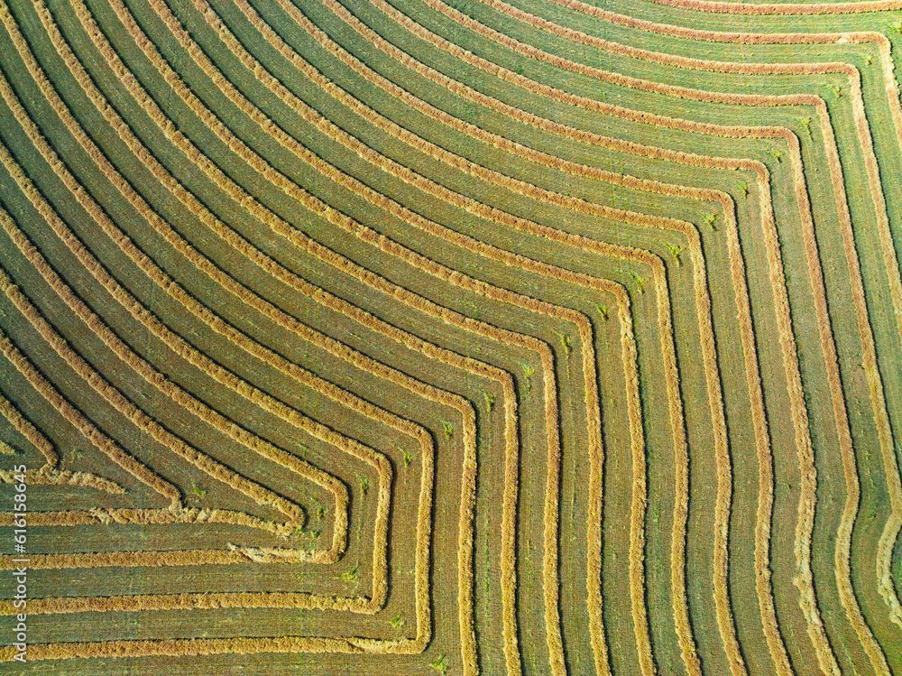 Aerial view of harvester lines and patterns in a rural paddock Aerial view of harvester lines and patterns in a rural paddock