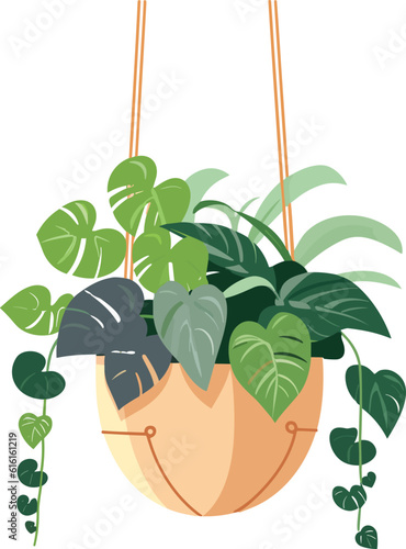 hanging flower pot, plant pot illustration, hanging flower pot, plant pot for home decor