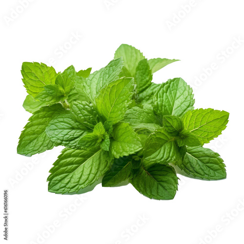 Fotomurale Mint Leaves Isolated