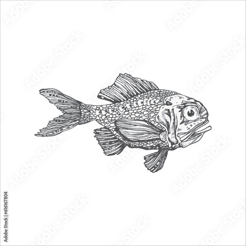 Hand drawn fish illustration, Minimal fish, Fish drawing, Artwork, Ocean, Sea, Water