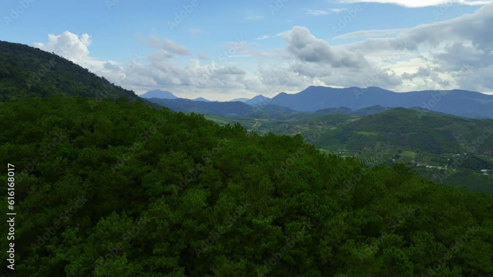 Elevated Wonder: Captivating 4K Aerial Views of Jungle's Mountain Clouds Elevated Wonder: Captivating 4K Aerial Views of Jungle's Mountain Clouds