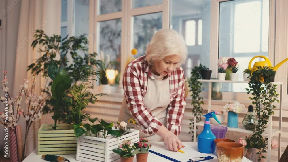 Mature woman working in a florist shop, small business owner, entrepreneurship Mature woman working in a florist shop, small business owner, entrepreneurship