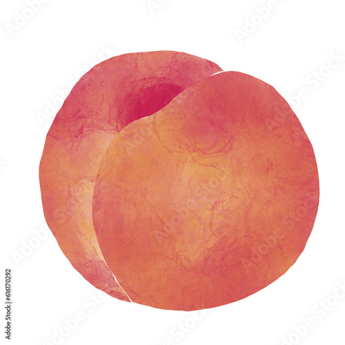 Watercolor Illustration of whole peach isolated on white background - hand drawn tropical fruit

