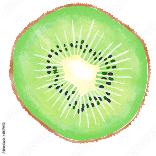 Watercolor Illustration of kiwi slice isolated on white background - hand drawn tropical fruit

