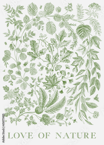 Green leaves. Love of nature. Vector vintage illustration.
