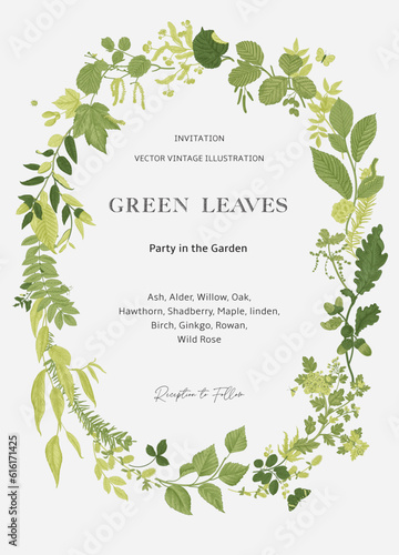Green leaves. Wreath. Vector vintage illustration. 
