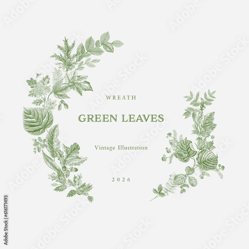 Green leaves. Round Wreath. Vector vintage illustration.