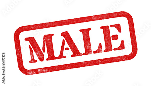 Male red rubber stamp isolated on transparent background with distressed texture effect