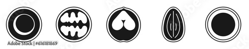 Set of nuts, contour vector sign highlighted on a white background