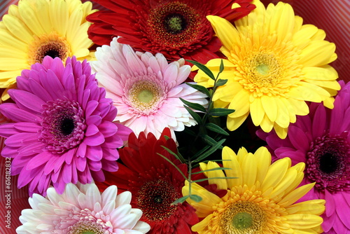 Background of flowers of different shades of gerbera.
