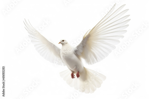 flying white dove isolated on white background © Boraryn