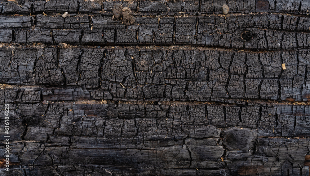 Verkohltes Holz Verkohltes Holz