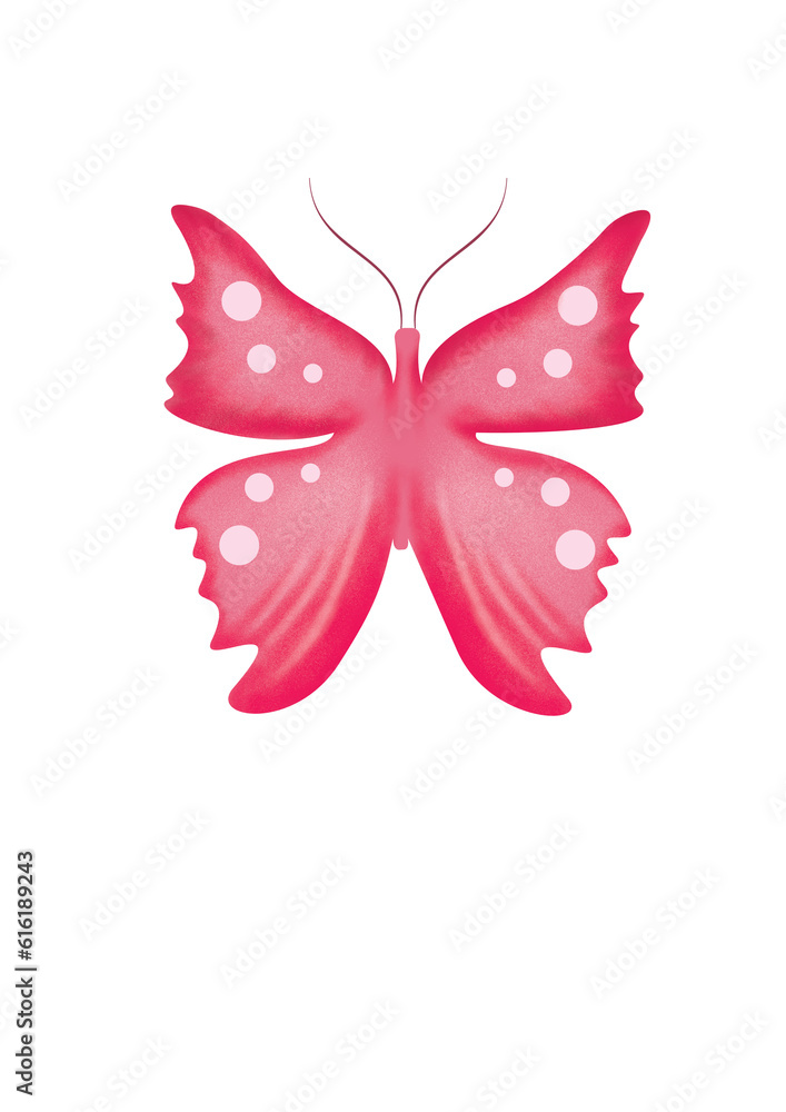 motyl