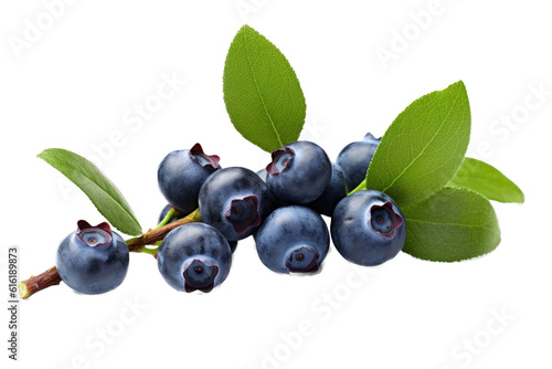 Blueberry Fruit , isolated on transparent background, PNG