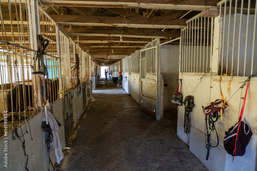 Horse stable. Horse stable for horses at the riding school. Horse shelter. Horse stable. Horse stable for horses at the riding school. Horse shelter.