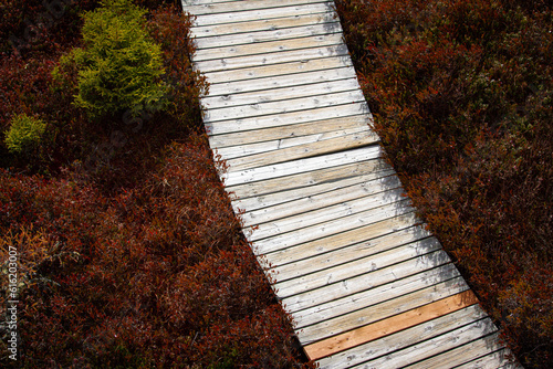 stairs in the park