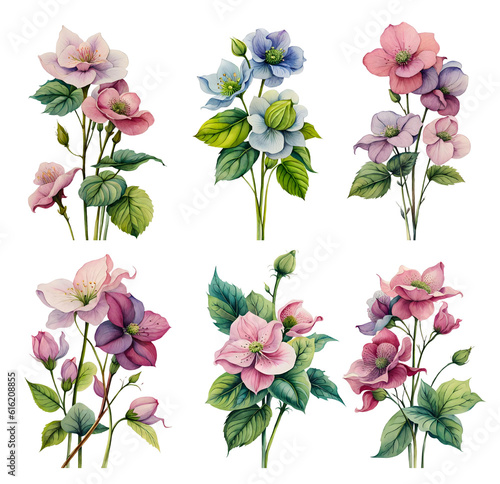 Lenten Roses watercolor botanical set. Generative Ai