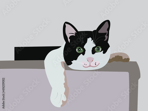 Black and white cat lying very lazily on some surface