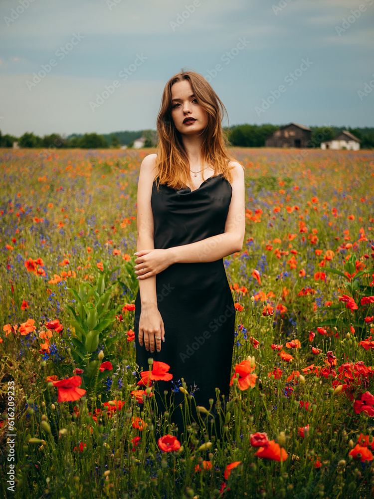 Beautiful young girl in a black evening dress posing against a poppy field on a cloudy summer day. Portrait of a female model outdoors. Rainy weather. Gray clouds. Vertical shot. Beautiful young girl in a black evening dress posing against a poppy field on a cloudy summer day. Portrait of a female model outdoors. Rainy weather. Gray clouds. Vertical shot.