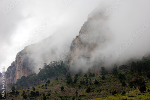 Mountains in the clouds. Aerial view of a mountain peak with green trees in the fog. Beautiful landscape with high cliffs, sky. Dedegol. Turkey.
