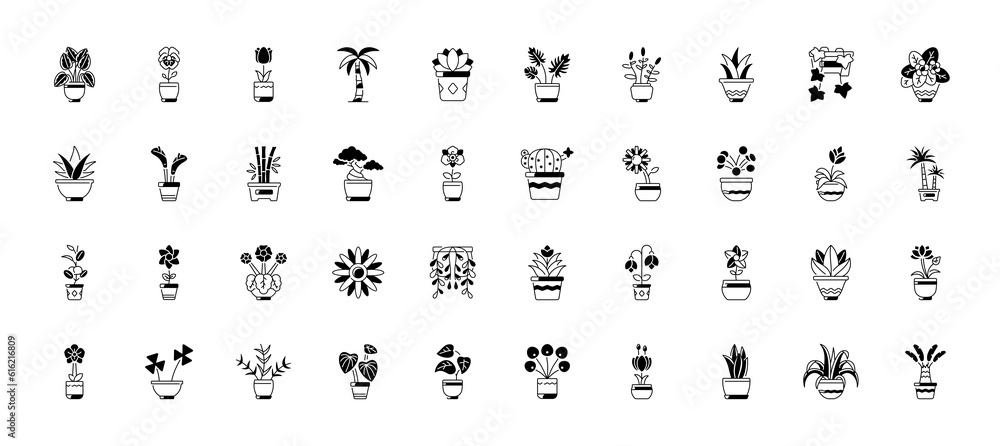 Decorative houseplants in pots. Indoor plants in flower pot, vases, basket for interior isolated on white background. Home greener. Vector set illustration
