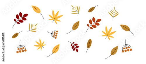 Abstract autumn leaf, autumn elements bundle, different fall leaves.
