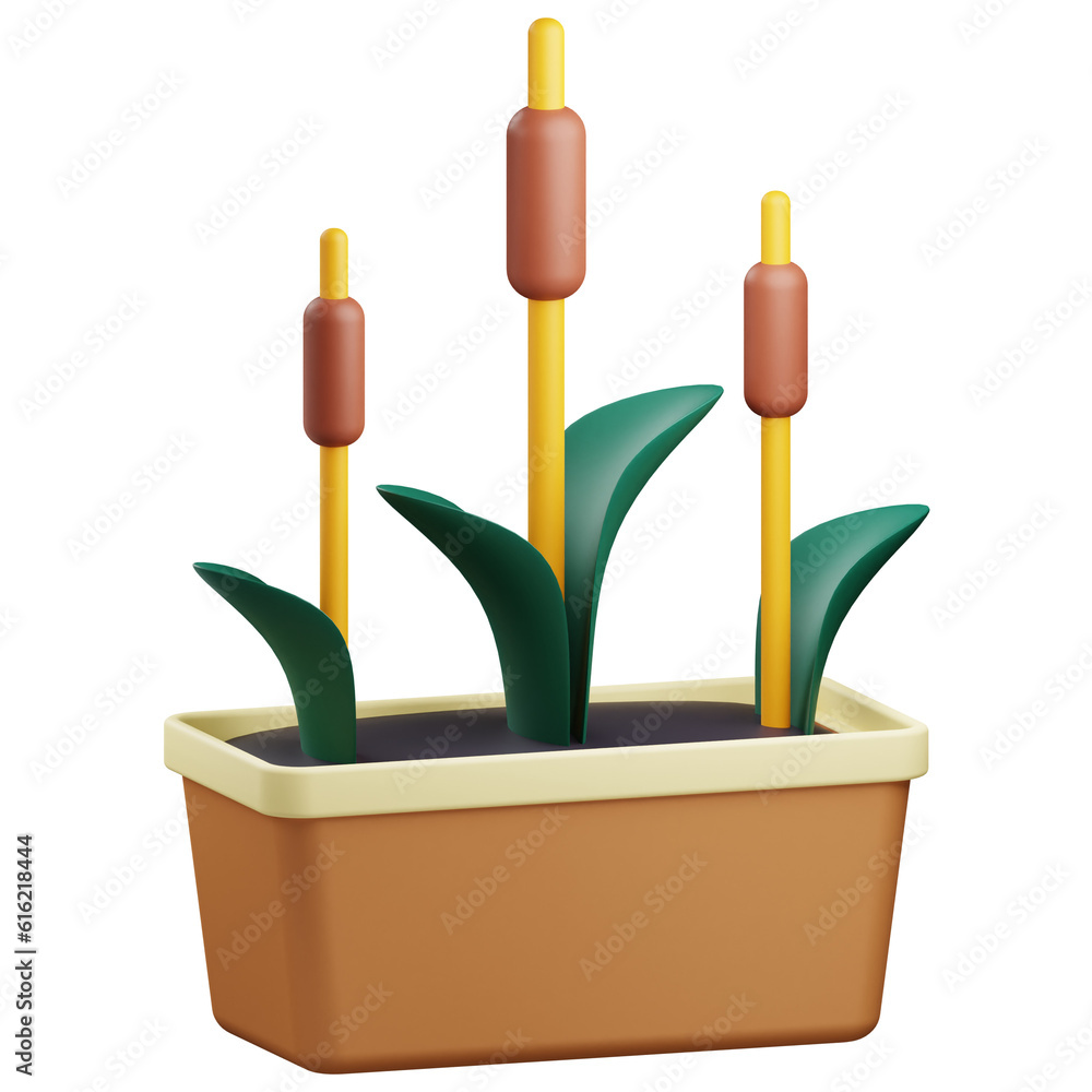 3d Reeds illustration with transparent background 3d Reeds illustration with transparent background
