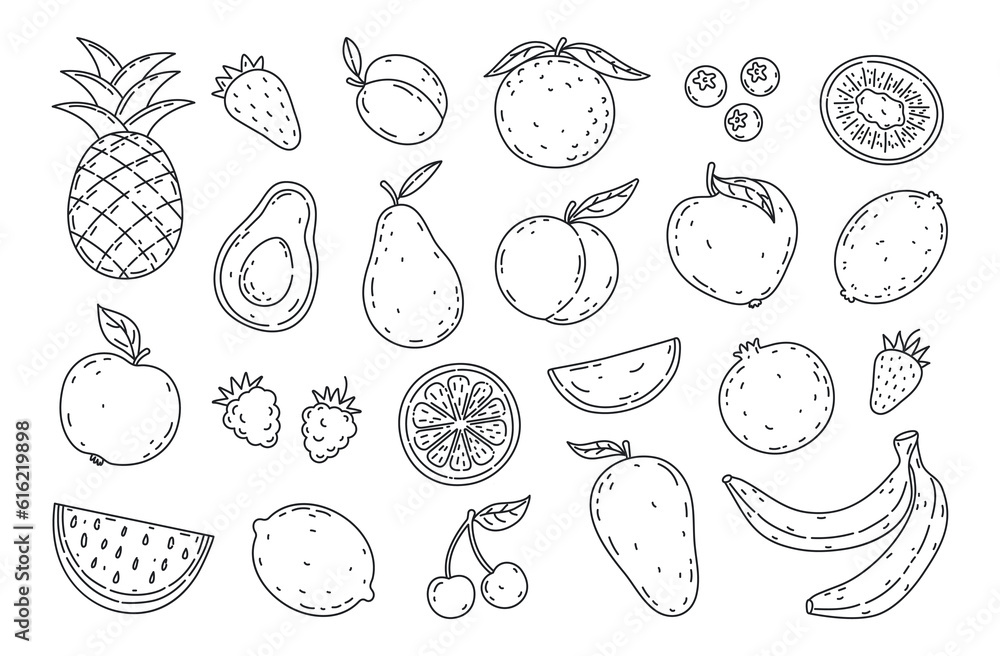 Set hand drawn fruits and berries icons set. Natural tropical fruits. Decorative collection in doodle style farm product restaurant menu, market label, organic, vegan food. 