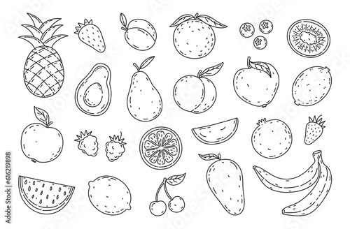 Set hand drawn fruits and berries icons set. Natural tropical fruits. Decorative collection in doodle style farm product restaurant menu  market label  organic  vegan food. 