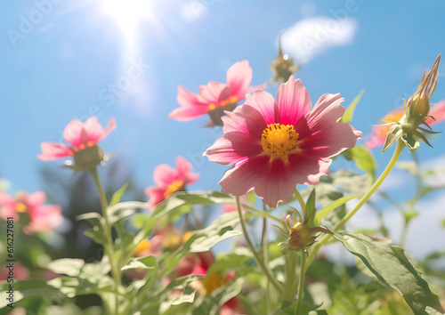 flowers under the sun