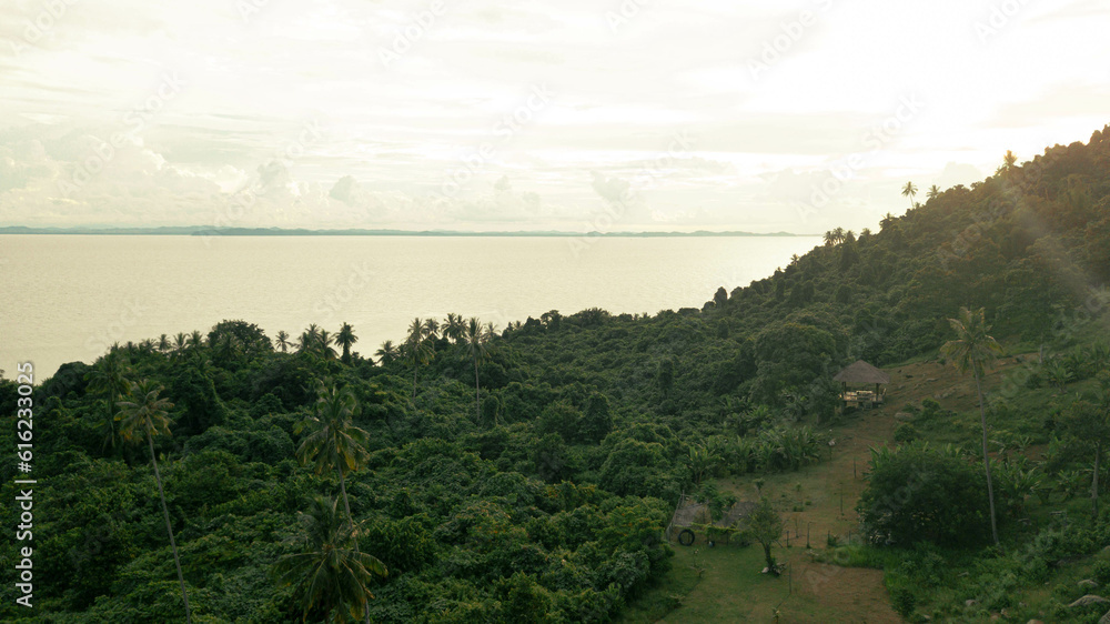 Panoramic aerial drone view of tropical island scenery with lush green forest trees at Tinggi Island or Pulau Tinggi in Mersing, Johor, Malaysia